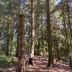 Апартаменты Harz Is Calling Гослар