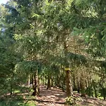 Harz Is Calling Апартаменты Гослар