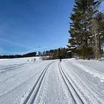 Harz Is Calling * גוסלר