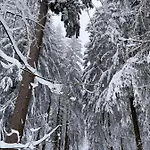Harz Is Calling