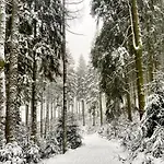 Harz Is Calling דירה