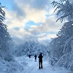 Harz Is Calling * גוסלר