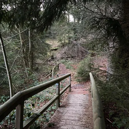 Harz Is Calling Appartement