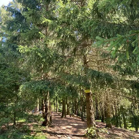 Harz Is Calling 公寓 戈斯拉尔