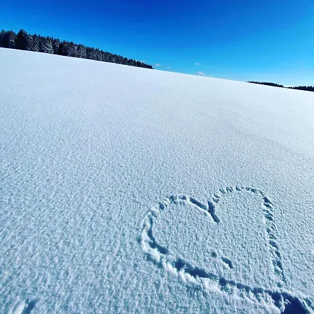 Harz Is Calling Appartamento *