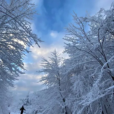 Harz Is Calling * Goslar