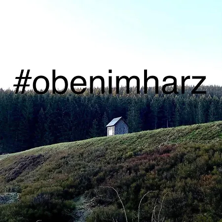 Harz Is Calling Lejlighed *