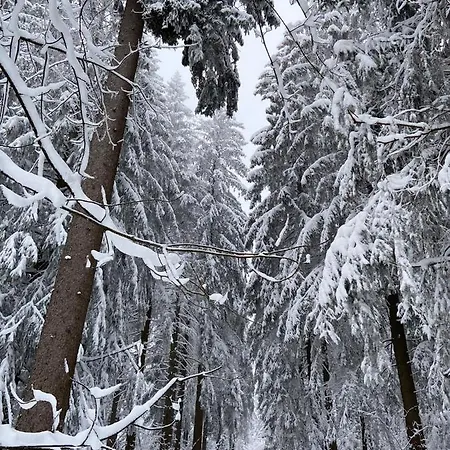 Harz Is Calling