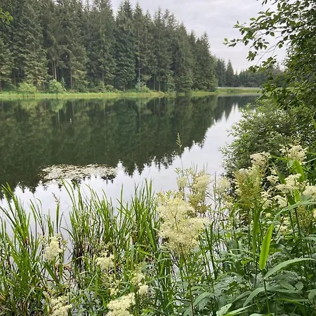 Harz Is Calling Appartement *