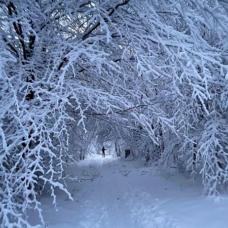 Harz Is Calling شقة *