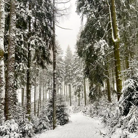 Harz Is Calling Lejlighed