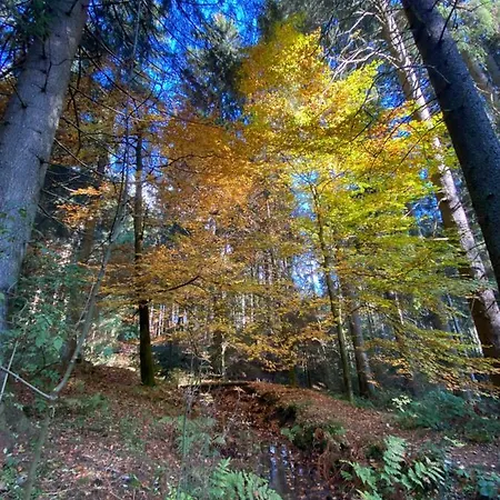 Harz Is Calling Apartment *