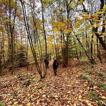 Harz Is Calling *