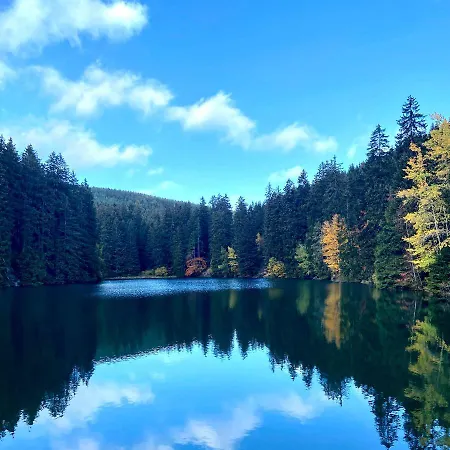 Διαμέρισμα Harz Is Calling *