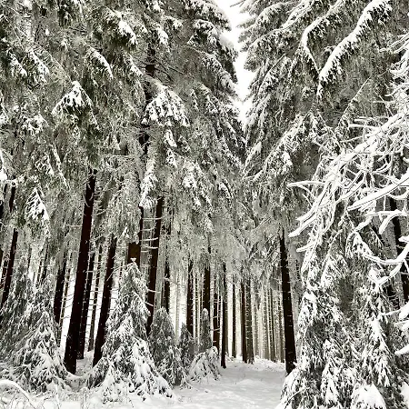 Harz Is Calling *