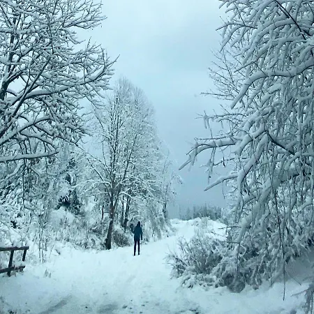 Harz Is Calling Lejlighed