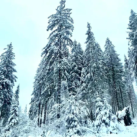 Harz Is Calling * Goslar