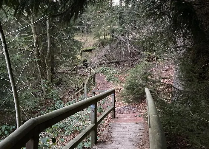 Harz Is Calling Lägenhet