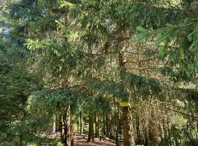 Harz Is Calling Lägenhet Goslar