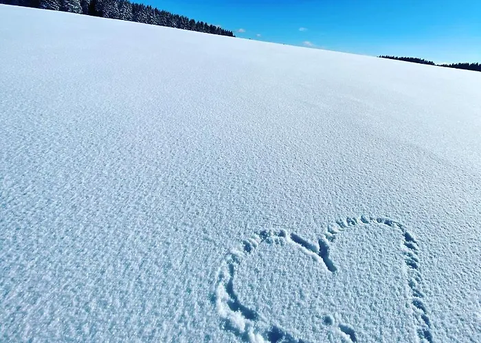 Harz Is Calling Lägenhet *