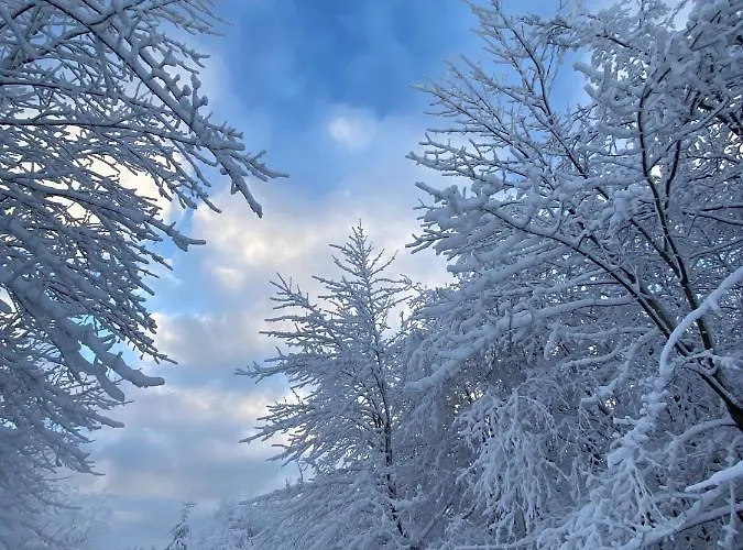 Harz Is Calling * Goslar