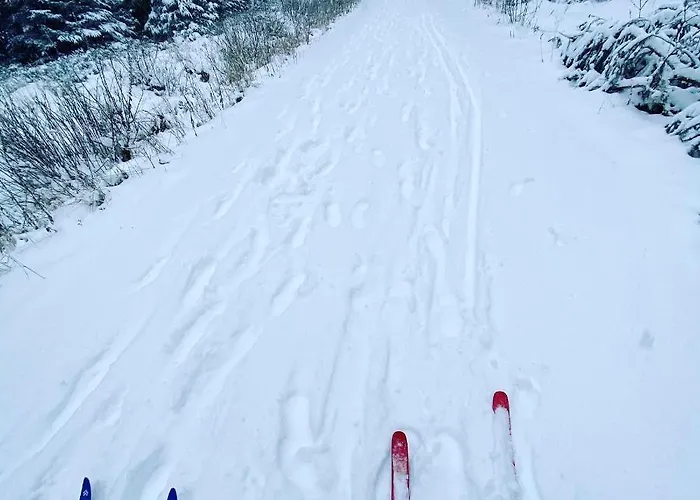 Lägenhet Harz Is Calling *