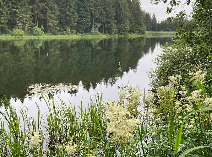 Harz Is Calling Lägenhet *