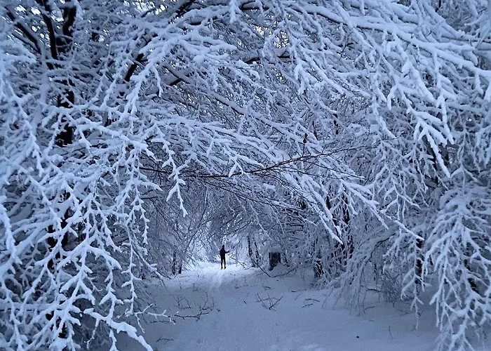 Harz Is Calling Lägenhet *