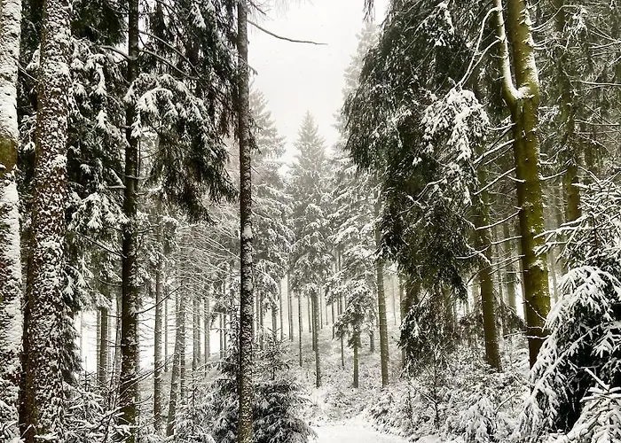 Harz Is Calling Lägenhet