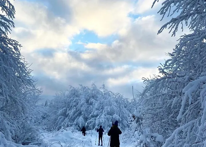 Harz Is Calling * Goslar