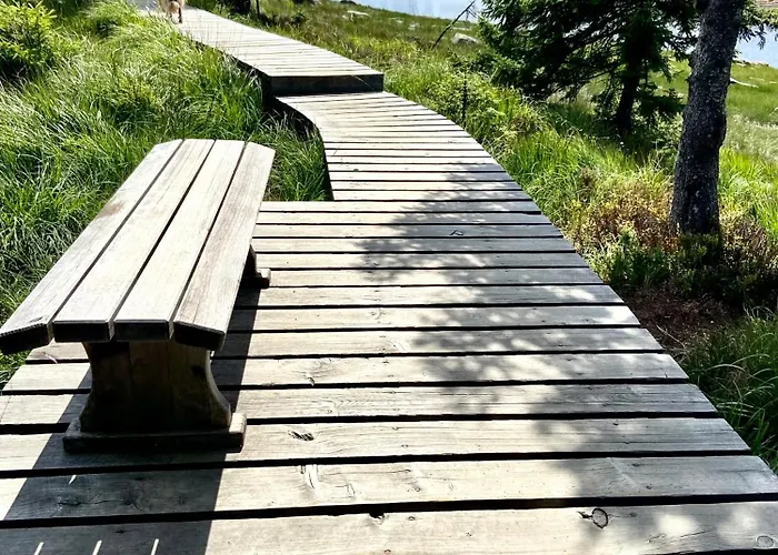 Harz Is Calling Goslar