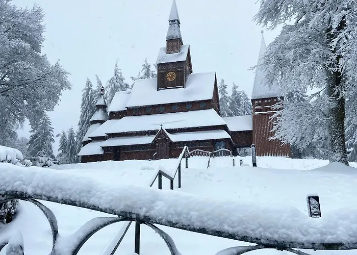 Harz Is Calling Lägenhet *