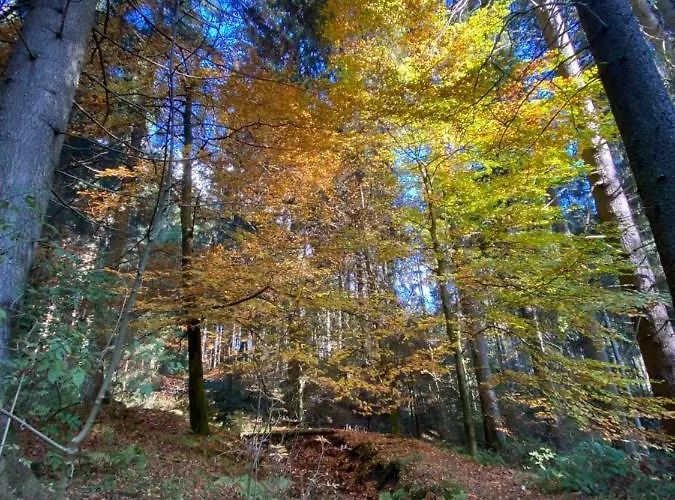 Harz Is Calling Lägenhet *