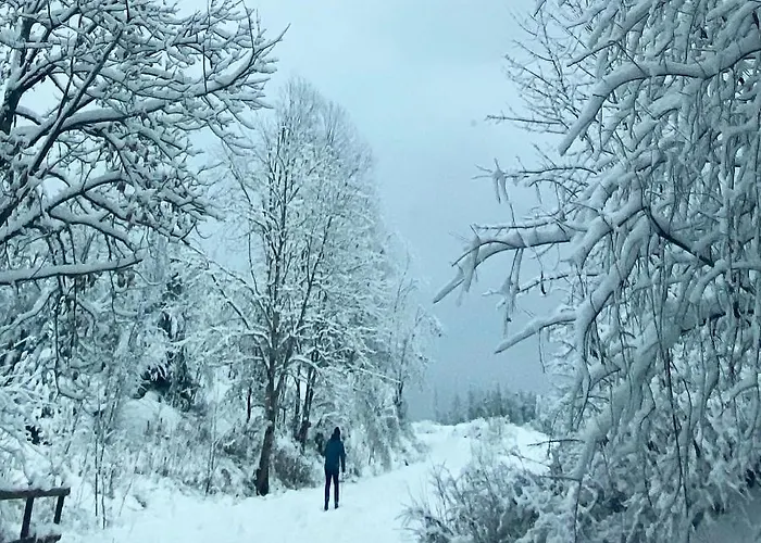 Harz Is Calling Lägenhet