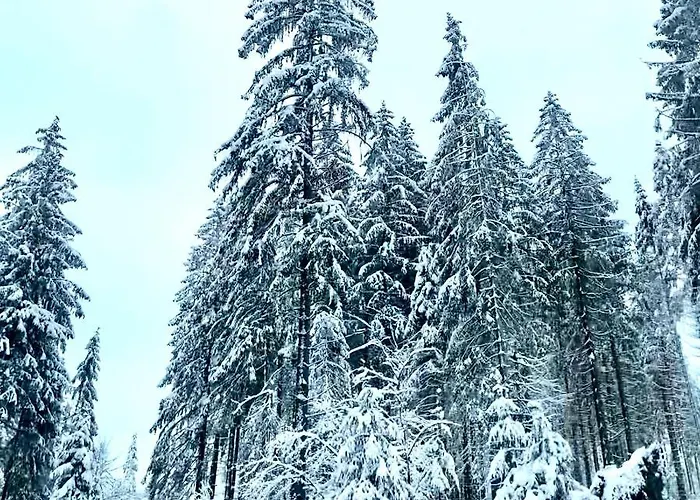 Harz Is Calling * Goslar