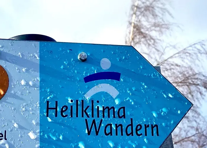 Harz Is Calling * Goslar