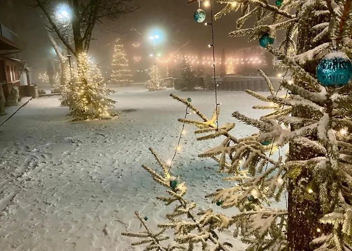 Harz Is Calling Lägenhet *